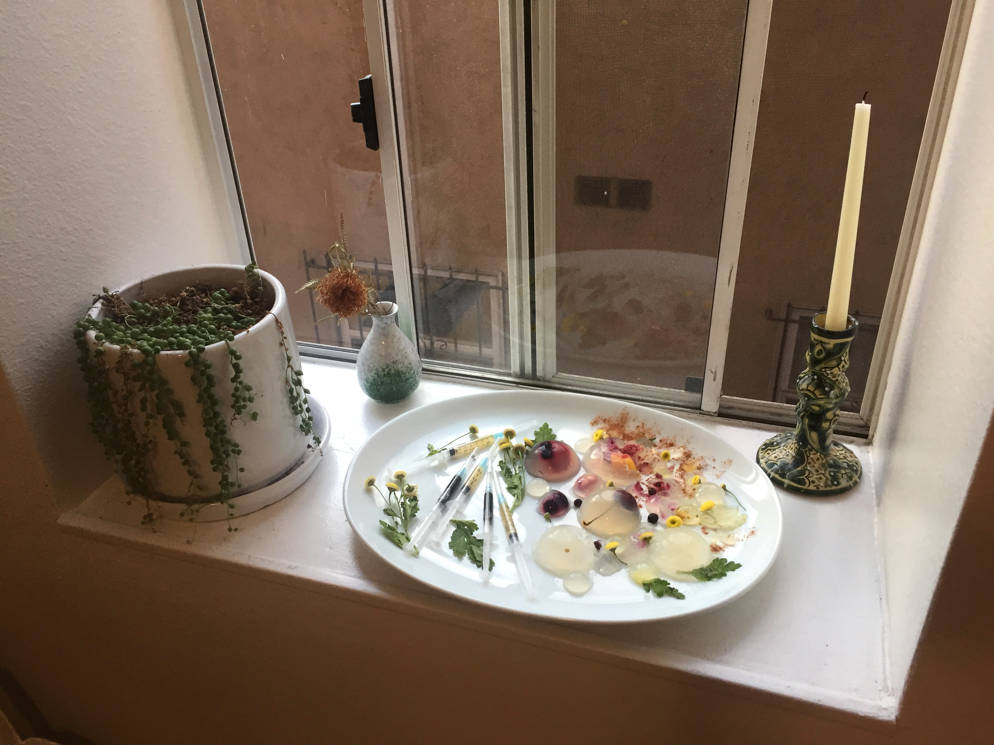 A plate of jello half-spheres and syringes on a windowsill next to a flower, planter and candle